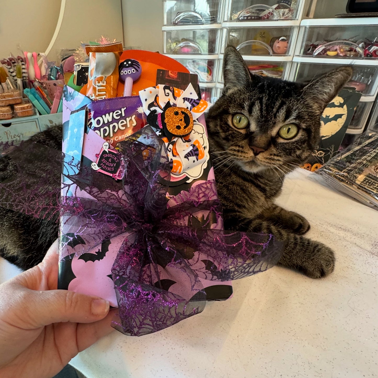Blind Date With A Book - Halloween Edition
