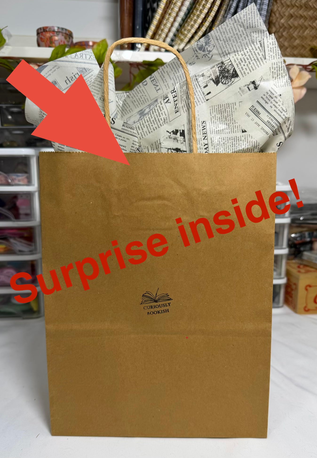 Curiously Bookish Surprise Bags